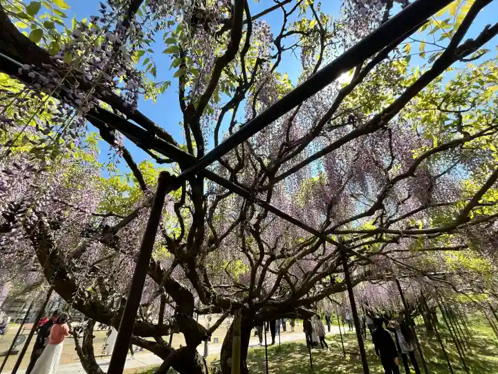 天台宗 五大山 白毫寺(兵庫県)