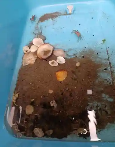 白狐山光星寺(山形県)