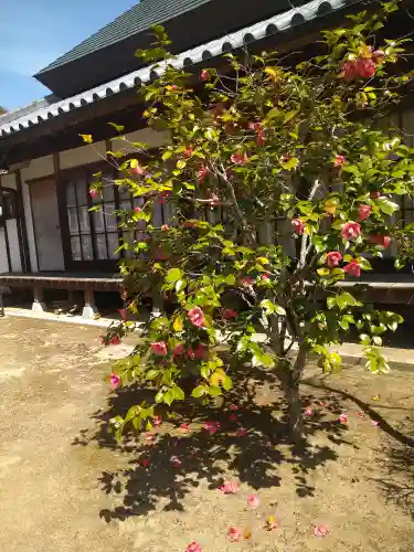 圀勝寺の自然