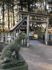 宝登山神社の狛犬