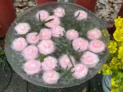 川越八幡宮(埼玉県)