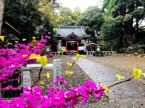 熊野神社の建物その他