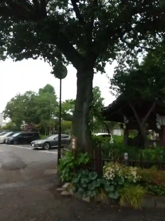 白山神社のその他建物