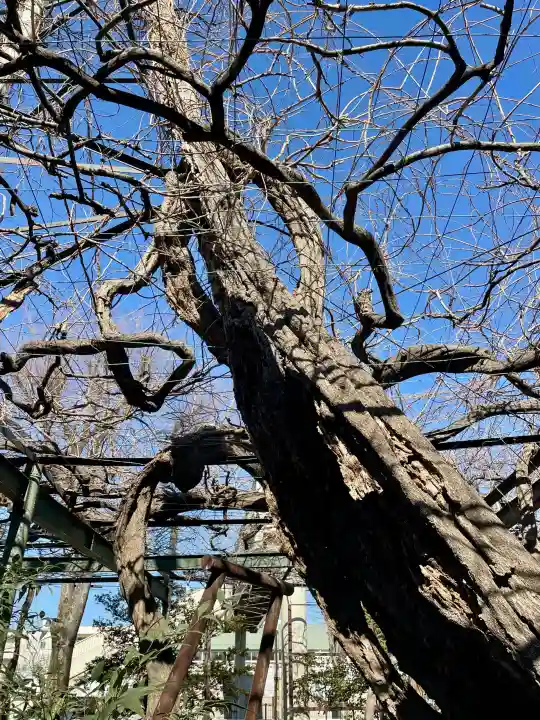 國領神社の{uncategorized: "未分類", other: "その他", undefined: "問題あり", building: "その他建物", grave: "お墓", sacred_gate: "鳥居", guardian: "狛犬", statue: "像", buddha: "仏像", history: "歴史", nature: "自然", garden: "庭園", animal: "動物", pagoda: "塔", temizu: "手水舎", mountain_gate: "山門・神門", sanctuary: "本殿・本堂", subordinate: "末社・摂社", art: "芸術", scenery: "景色", jizo: "地蔵", ema: "絵馬", goshuin: "御朱印", omikuji: "おみくじ", items: "授与品その他", amulet: "お守り", goshuincho: "御朱印帳", eats: "食事", festival: "お祭り", votive_dance: "神楽", shichigosan: "七五三参", wedding: "結婚式", experience: "体験その他", initially: "初詣", around: "周辺", anti_infection: "感染症対策"}