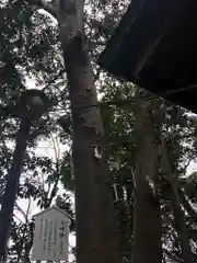 検見川神社の自然