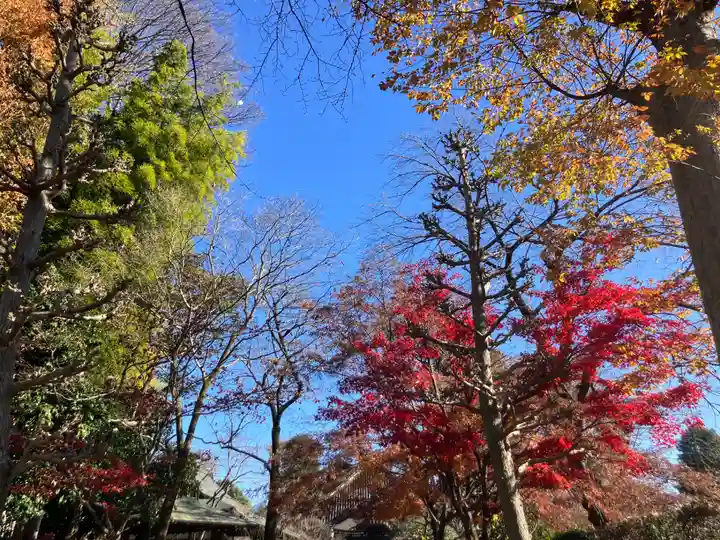 極楽寺(東京都)
