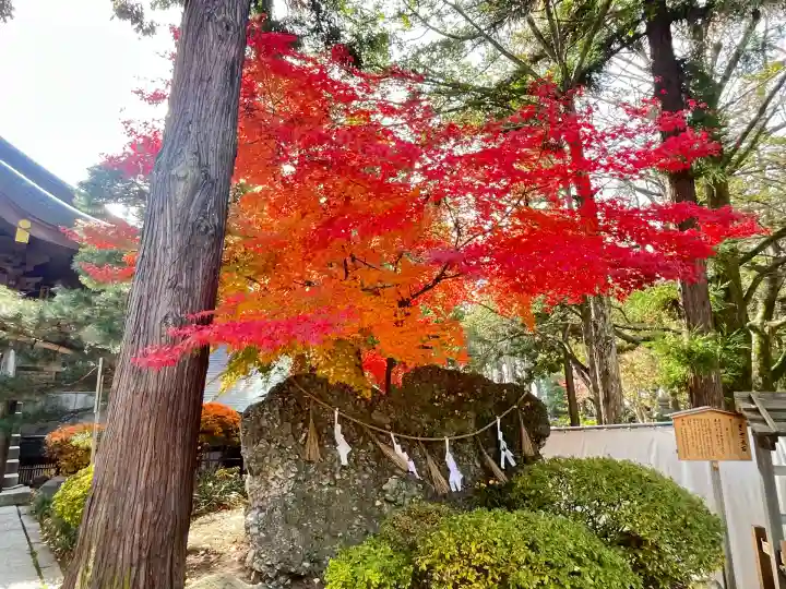 諏訪大社下社秋宮(長野県)