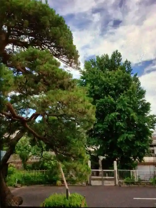 光明院(東京都)