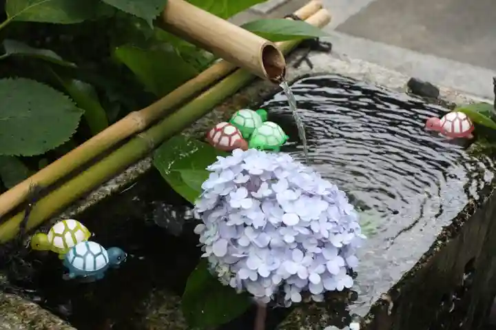 宝蔵寺(京都府)