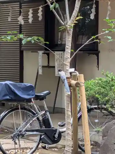 白幡八幡神社(神奈川県)