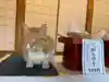 八枝神社の動物