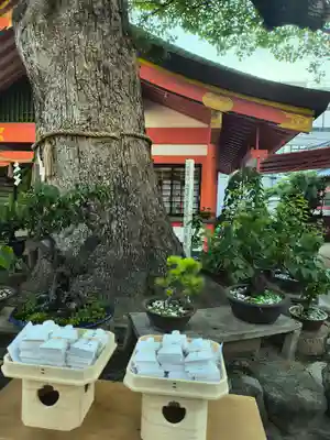 足の神様 服部天神宮(大阪府)