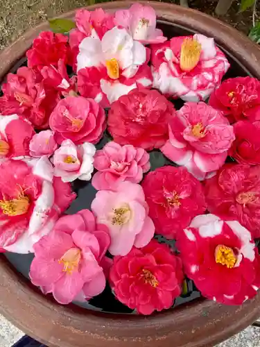 霊鑑寺門跡(京都府)