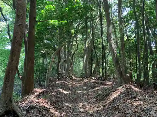 神明神社の自然