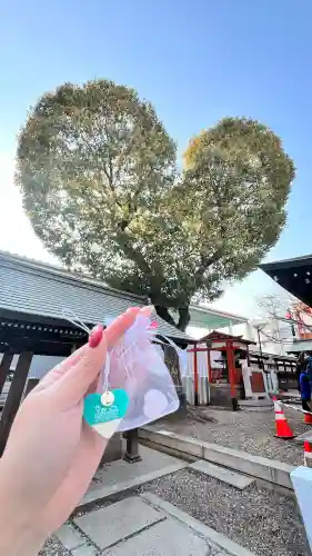 南宮宇佐八幡神社（脇浜神社）の{uncategorized: "未分類", other: "その他", undefined: "問題あり", building: "その他建物", grave: "お墓", sacred_gate: "鳥居", guardian: "狛犬", statue: "像", buddha: "仏像", history: "歴史", nature: "自然", garden: "庭園", animal: "動物", pagoda: "塔", temizu: "手水舎", mountain_gate: "山門・神門", sanctuary: "本殿・本堂", subordinate: "末社・摂社", art: "芸術", scenery: "景色", jizo: "地蔵", ema: "絵馬", goshuin: "御朱印", omikuji: "おみくじ", items: "授与品その他", amulet: "お守り", goshuincho: "御朱印帳", eats: "食事", festival: "お祭り", votive_dance: "神楽", shichigosan: "七五三参", wedding: "結婚式", experience: "体験その他", initially: "初詣", around: "周辺", anti_infection: "感染症対策"}