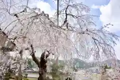 福徳寺の庭園