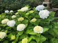 境香取神社の自然