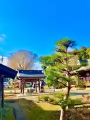 女化神社の建物その他