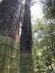 伊勢神宮内宮（皇大神宮）(三重県)