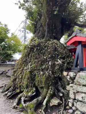大将軍神社(滋賀県)