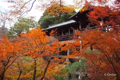 東福禅寺（東福寺）(京都府)