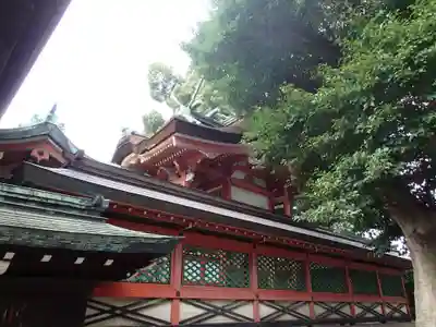 生根神社の本殿・本堂
