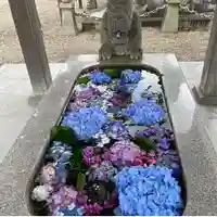 龍城神社の手水舎