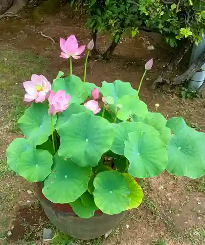 法華経寺(千葉県)