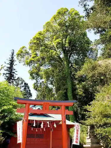 神炊館神社 ⁂奥州須賀川総鎮守⁂の末社