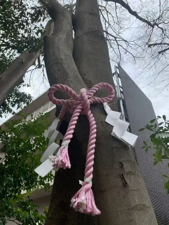 伊和志津神社の自然
