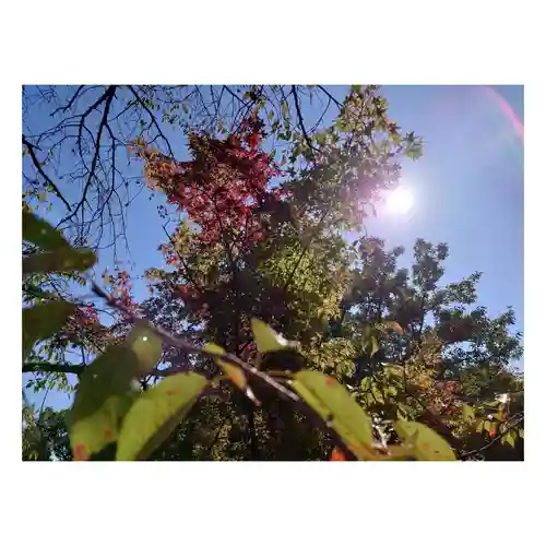 岐阜稲荷山本社(岐阜県)