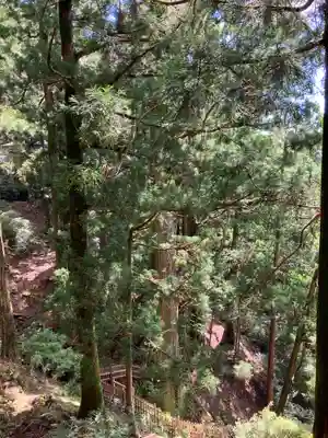玉置神社(奈良県)