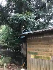 水玉稲荷神社の本殿