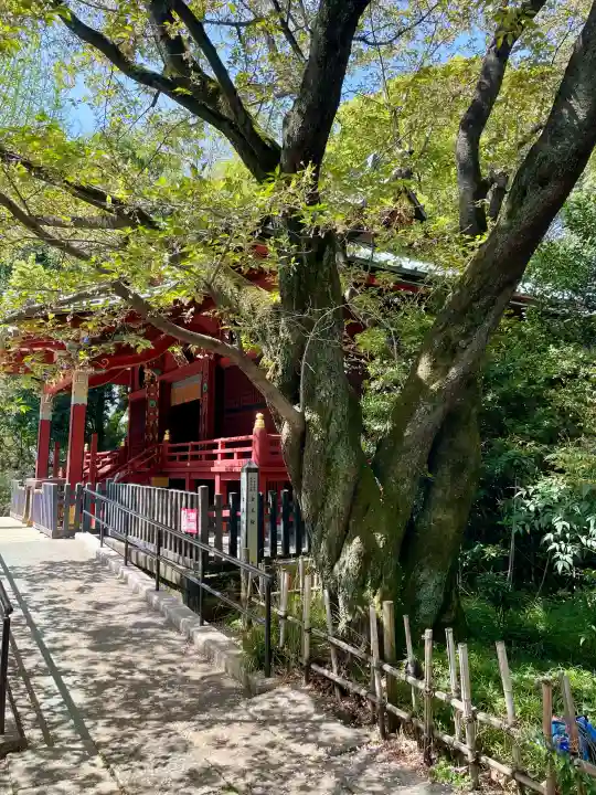 金王八幡宮の{uncategorized: "未分類", other: "その他", undefined: "問題あり", building: "その他建物", grave: "お墓", sacred_gate: "鳥居", guardian: "狛犬", statue: "像", buddha: "仏像", history: "歴史", nature: "自然", garden: "庭園", animal: "動物", pagoda: "塔", temizu: "手水舎", mountain_gate: "山門・神門", sanctuary: "本殿・本堂", subordinate: "末社・摂社", art: "芸術", scenery: "景色", jizo: "地蔵", ema: "絵馬", goshuin: "御朱印", omikuji: "おみくじ", items: "授与品その他", amulet: "お守り", goshuincho: "御朱印帳", eats: "食事", festival: "お祭り", votive_dance: "神楽", shichigosan: "七五三参", wedding: "結婚式", experience: "体験その他", initially: "初詣", around: "周辺", anti_infection: "感染症対策"}