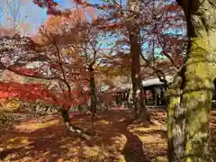 東福禅寺（東福寺）(京都府)