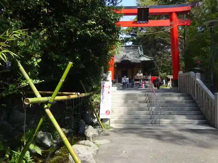 白笹稲荷神社の鳥居
