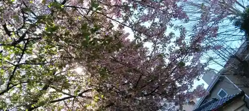 子安稲荷神社の{uncategorized: "未分類", other: "その他", undefined: "問題あり", building: "その他建物", grave: "お墓", sacred_gate: "鳥居", guardian: "狛犬", statue: "像", buddha: "仏像", history: "歴史", nature: "自然", garden: "庭園", animal: "動物", pagoda: "塔", temizu: "手水舎", mountain_gate: "山門・神門", sanctuary: "本殿・本堂", subordinate: "末社・摂社", art: "芸術", scenery: "景色", jizo: "地蔵", ema: "絵馬", goshuin: "御朱印", omikuji: "おみくじ", items: "授与品その他", amulet: "お守り", goshuincho: "御朱印帳", eats: "食事", festival: "お祭り", votive_dance: "神楽", shichigosan: "七五三参", wedding: "結婚式", experience: "体験その他", initially: "初詣", around: "周辺", anti_infection: "感染症対策"}