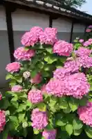 性海寺(愛知県)