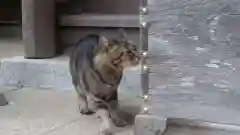 玉﨑神社の動物