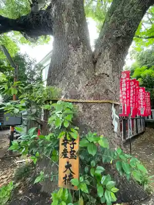 笠䅣稲荷神社(神奈川県)