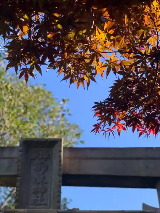 横浜御嶽神社のその他建物