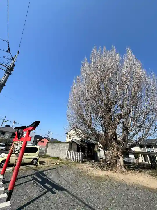 八大龍王辨財天の{uncategorized: "未分類", other: "その他", undefined: "問題あり", building: "その他建物", grave: "お墓", sacred_gate: "鳥居", guardian: "狛犬", statue: "像", buddha: "仏像", history: "歴史", nature: "自然", garden: "庭園", animal: "動物", pagoda: "塔", temizu: "手水舎", mountain_gate: "山門・神門", sanctuary: "本殿・本堂", subordinate: "末社・摂社", art: "芸術", scenery: "景色", jizo: "地蔵", ema: "絵馬", goshuin: "御朱印", omikuji: "おみくじ", items: "授与品その他", amulet: "お守り", goshuincho: "御朱印帳", eats: "食事", festival: "お祭り", votive_dance: "神楽", shichigosan: "七五三参", wedding: "結婚式", experience: "体験その他", initially: "初詣", around: "周辺", anti_infection: "感染症対策"}