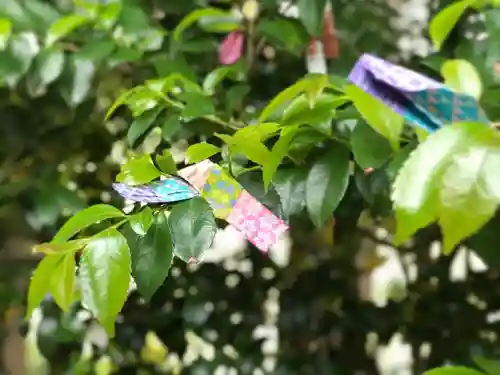 高司神社〜むすびの神の鎮まる社〜のおみくじ