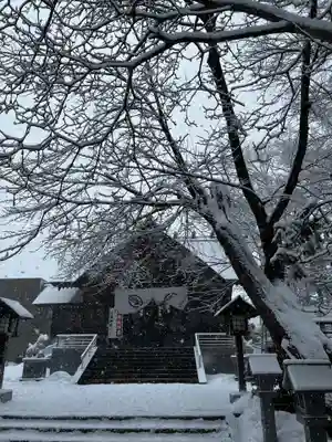 信濃神社の初詣