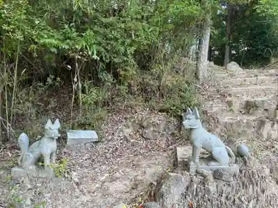 千手寺の狛犬