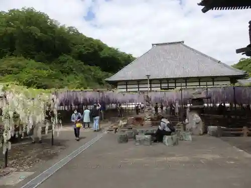 長泉寺の庭園