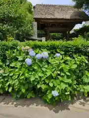 極楽寺（霊鷲山感應院極楽律寺）の庭園