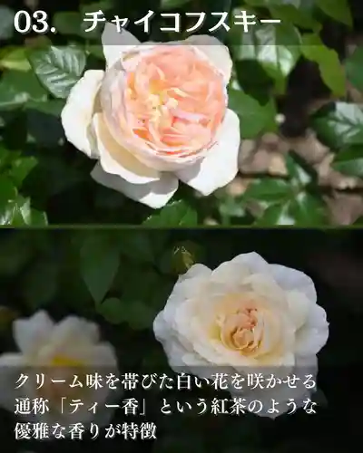 宝光寺(北海道)