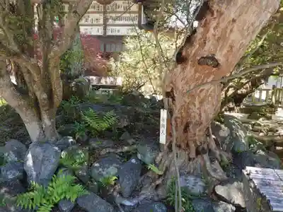 長泉院のその他建物