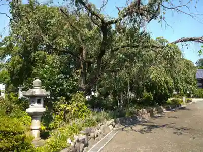 吉祥院のその他建物
